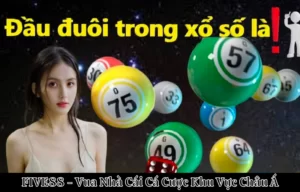 Dự đoán số đẹp cho ngày mai